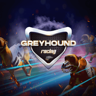 Virtual Greyhounds game screenshot